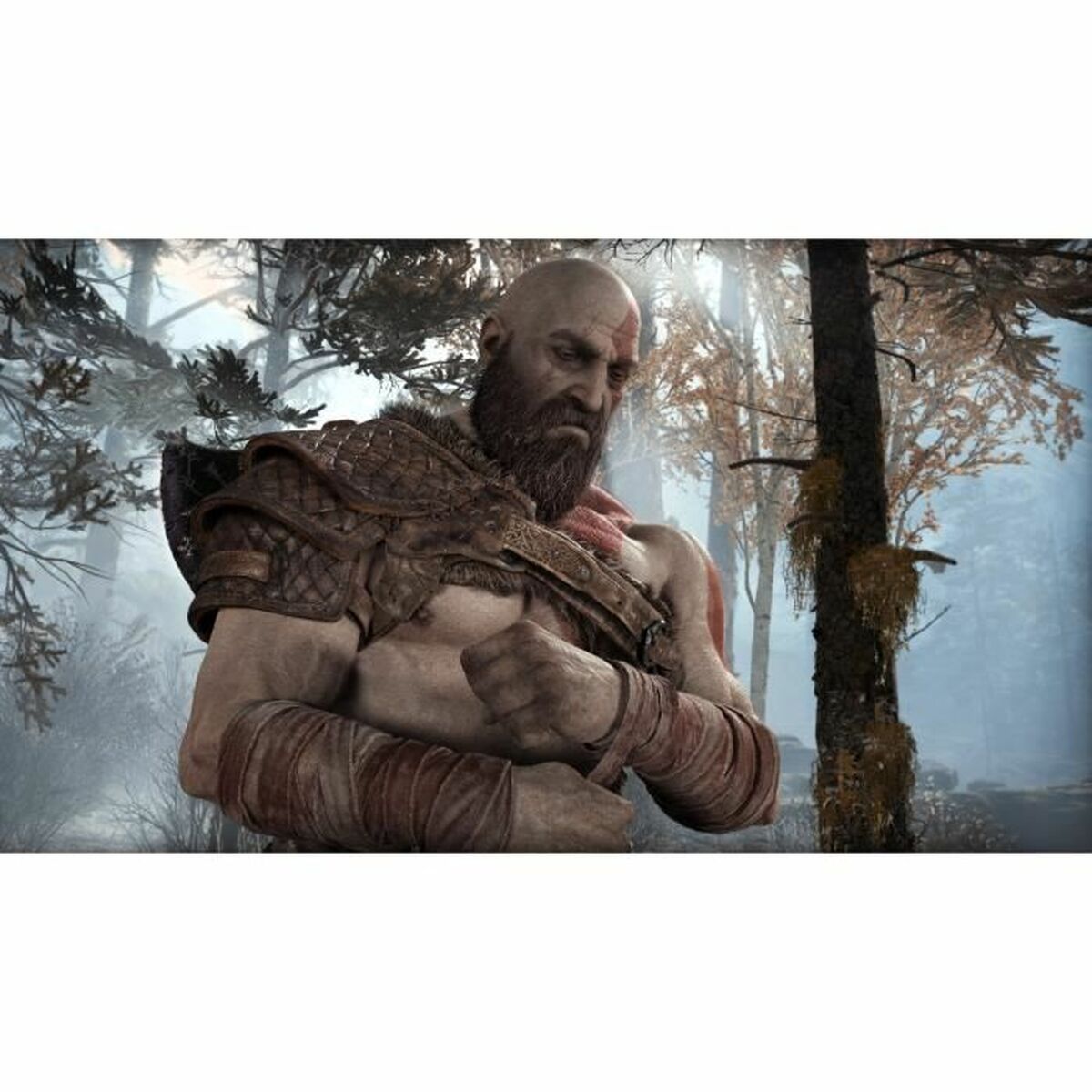 PlayStation 4 Video Game Santa Monica Studio Gof of War Playstation Hits-1